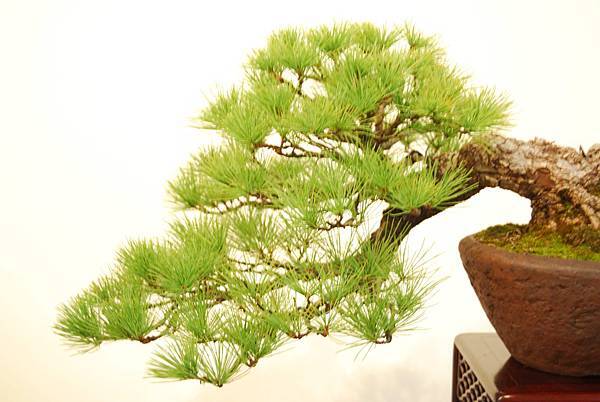 DSC_7835.jpg DSC_7835.jpg