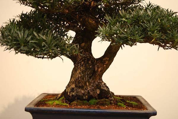 DSC_7839.jpg DSC_7839.jpg