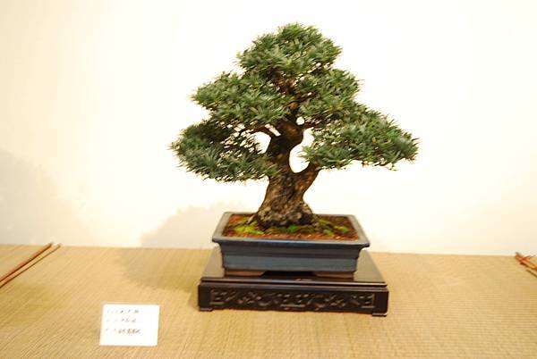 DSC_7837.jpg DSC_7837.jpg