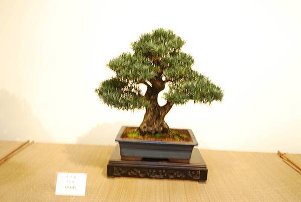 DSC_7836.jpg DSC_7836.jpg