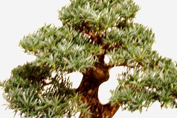 DSC_7840.jpg DSC_7840.jpg