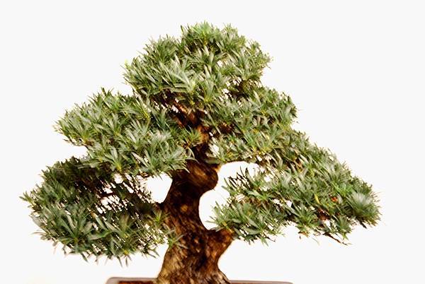 DSC_7841.jpg DSC_7841.jpg