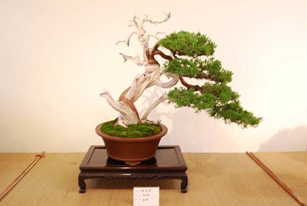 DSC_7842.jpg DSC_7842.jpg