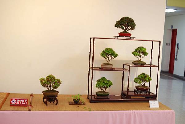 DSC_7846.jpg DSC_7846.jpg