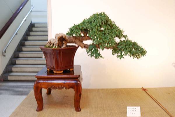 DSC_7843.jpg DSC_7843.jpg