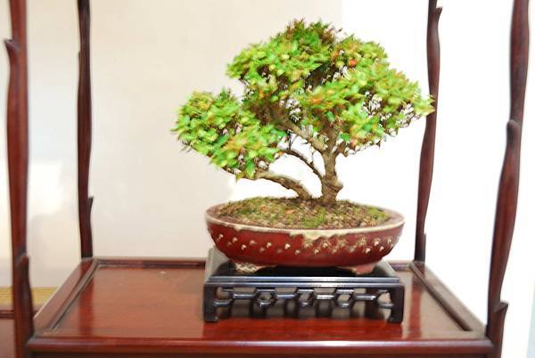 DSC_7850.jpg DSC_7850.jpg