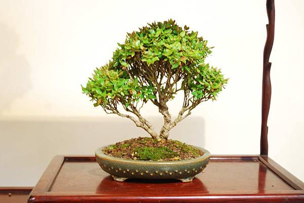 DSC_7849.jpg DSC_7849.jpg