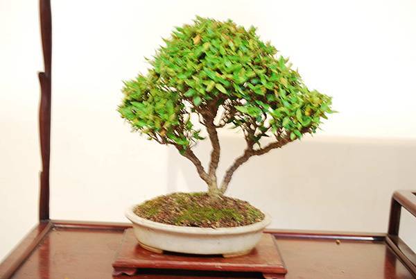 DSC_7848.jpg DSC_7848.jpg