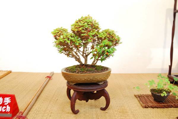 DSC_7853.jpg DSC_7853.jpg