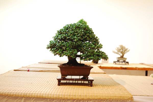 DSC_7857.jpg DSC_7857.jpg