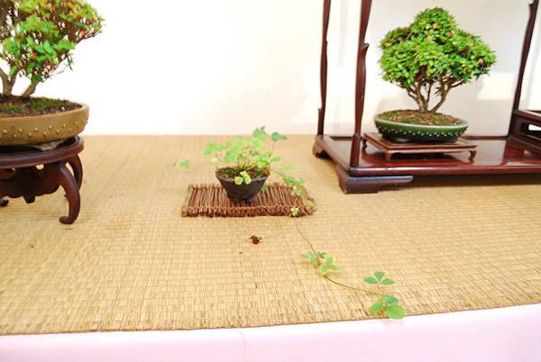 DSC_7854.jpg DSC_7854.jpg