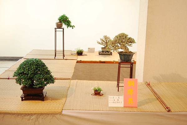 DSC_7855.jpg DSC_7855.jpg