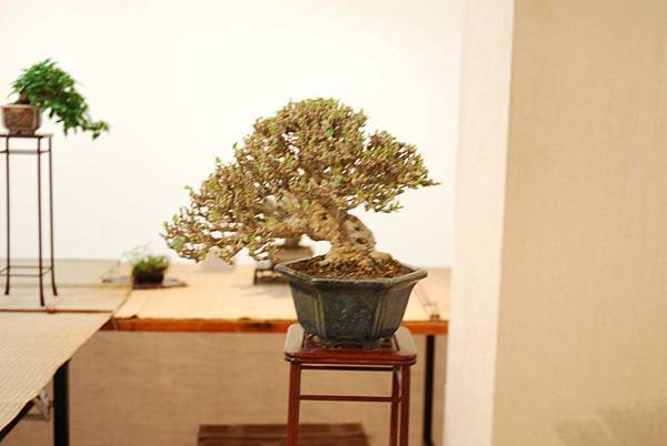 DSC_7858.jpg DSC_7858.jpg