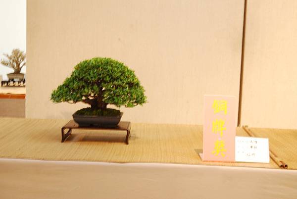 DSC_7859.jpg DSC_7859.jpg