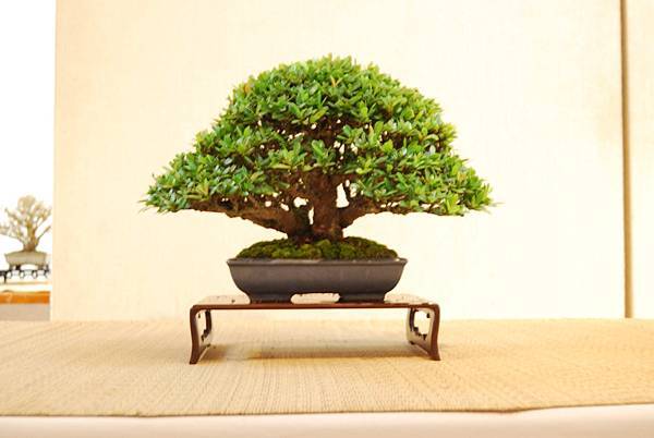 DSC_7862.jpg DSC_7862.jpg