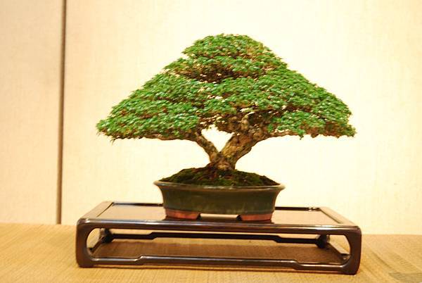 DSC_7864.jpg DSC_7864.jpg