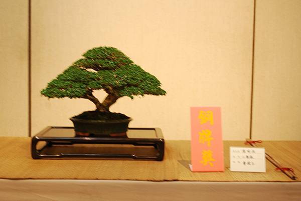 DSC_7863.jpg DSC_7863.jpg