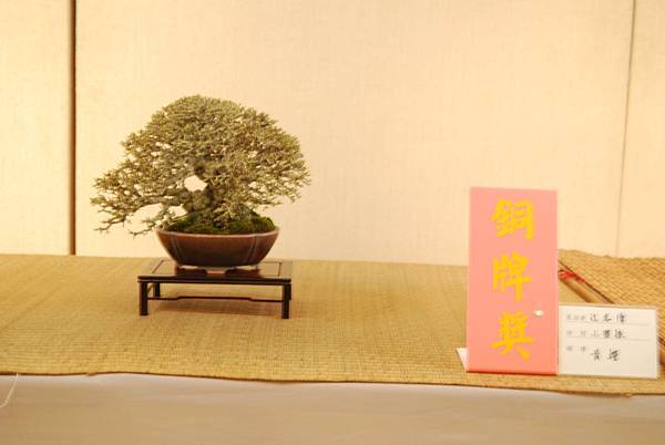 DSC_7865.jpg DSC_7865.jpg