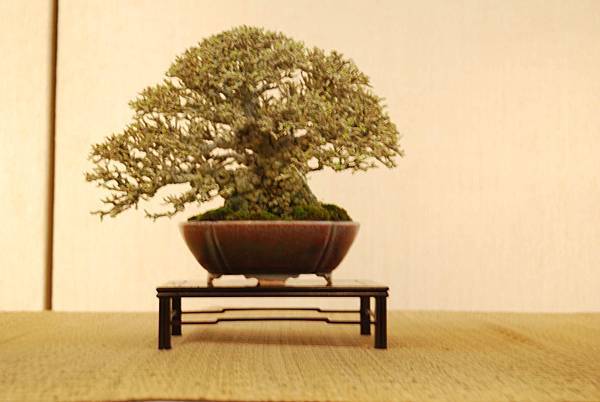 DSC_7869.jpg DSC_7869.jpg