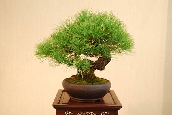 DSC_7872.jpg DSC_7872.jpg