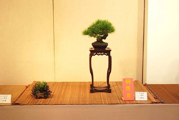 DSC_7873.jpg DSC_7873.jpg