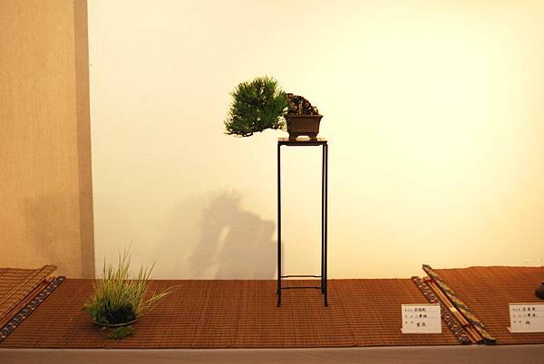 DSC_7874.jpg DSC_7874.jpg