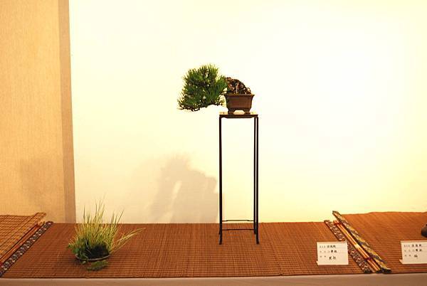 DSC_7875.jpg DSC_7875.jpg