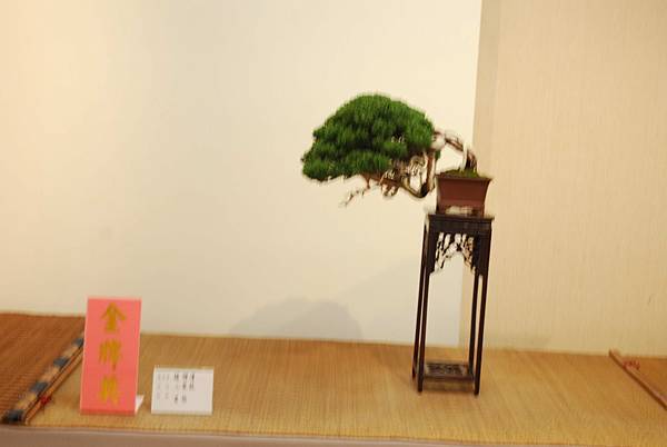 DSC_7880.jpg DSC_7880.jpg