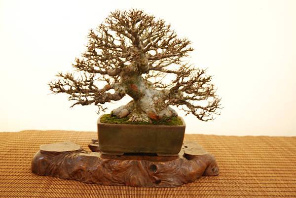 DSC_7879.jpg DSC_7879.jpg