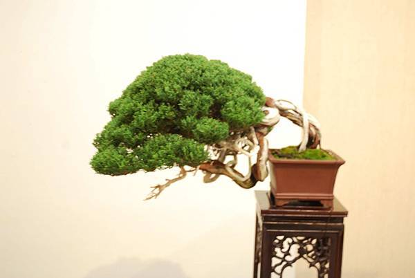 DSC_7883.jpg DSC_7883.jpg