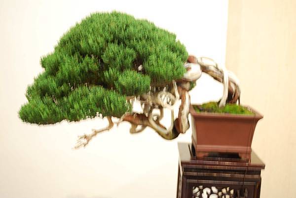 DSC_7881.jpg DSC_7881.jpg