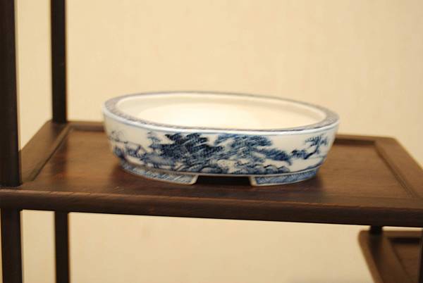 DSC_7886.jpg DSC_7886.jpg