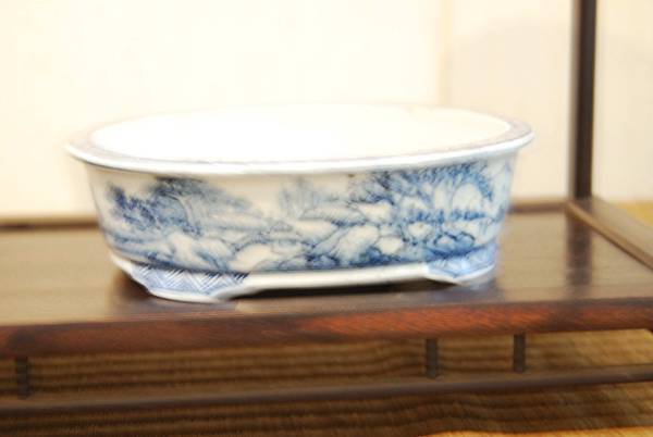 DSC_7889.jpg DSC_7889.jpg