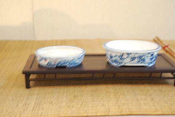 DSC_7891.jpg DSC_7891.jpg