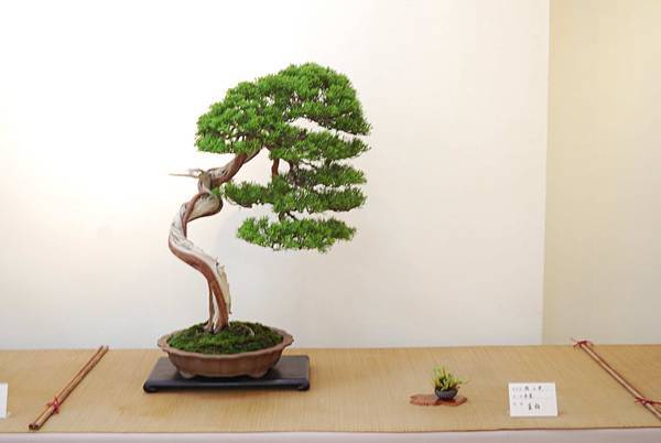 DSC_7895.jpg DSC_7895.jpg