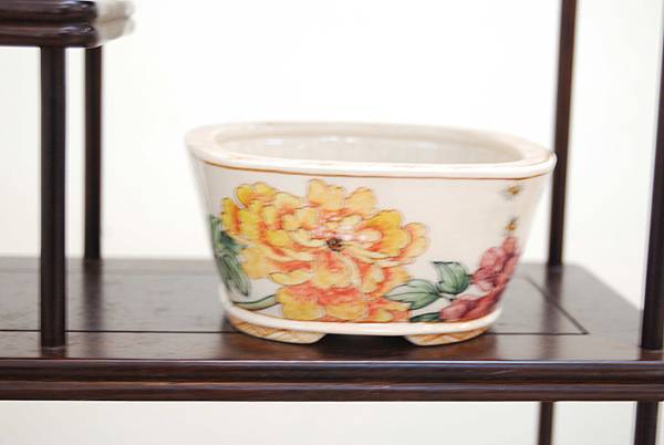 DSC_7899.jpg DSC_7899.jpg