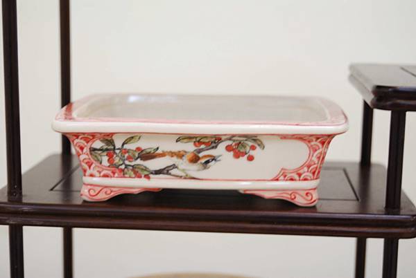 DSC_7900.jpg DSC_7900.jpg