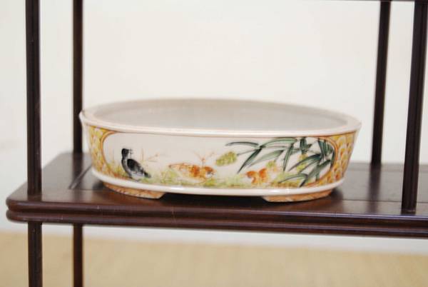 DSC_7901.jpg DSC_7901.jpg