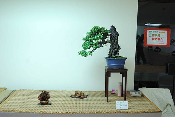 DSC_7904.jpg DSC_7904.jpg