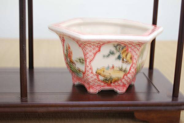 DSC_7903.jpg DSC_7903.jpg