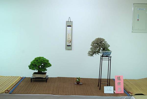 DSC_7905.jpg DSC_7905.jpg