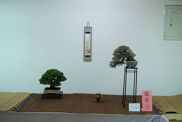 DSC_7906.jpg DSC_7906.jpg