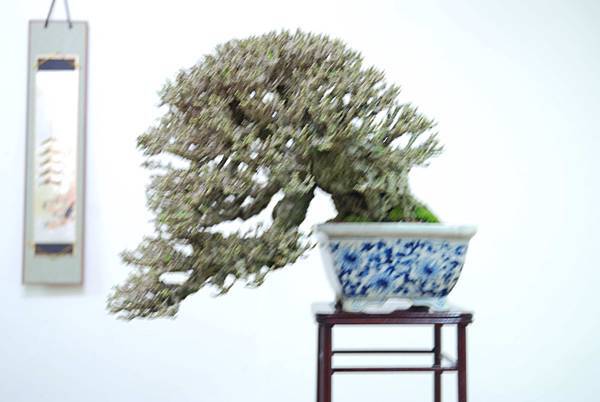 DSC_7908.jpg DSC_7908.jpg