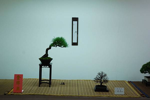 DSC_7910.jpg DSC_7910.jpg