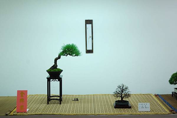 DSC_7912.jpg DSC_7912.jpg