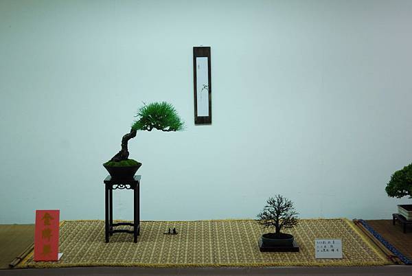 DSC_7911.jpg DSC_7911.jpg