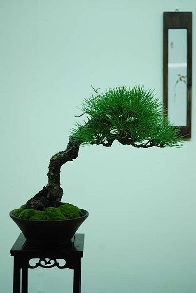 DSC_7913.jpg DSC_7913.jpg