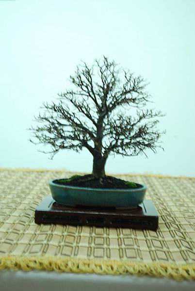 DSC_7915.jpg DSC_7915.jpg