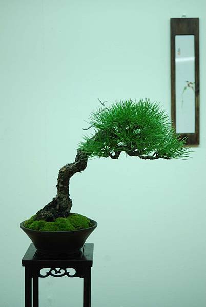 DSC_7914.jpg DSC_7914.jpg