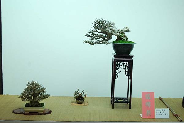 DSC_7917.jpg DSC_7917.jpg